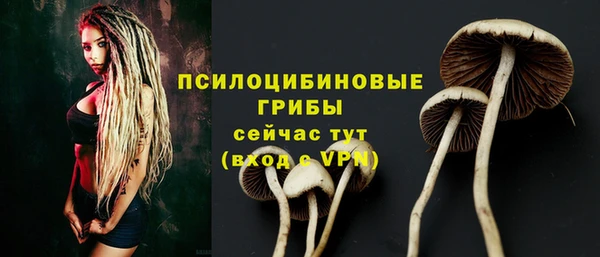 а пвп мука Балабаново