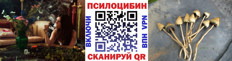 Галлюциногенные грибы Magic Shrooms  закладка  Салаир 
